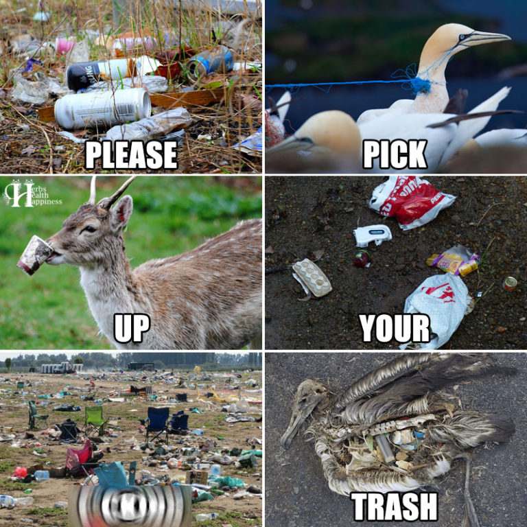 Please Pick Up Your Trash Adorable Living Spaces