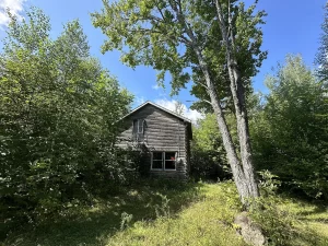 Charming Fixer-Upper Cabin Log on 31.9 Acres. $64,900