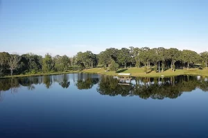 164 Acre Paradise with Log Home, Private Lake & Breathtaking Setting