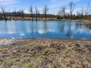 Mini Farm on 20 Acres – Spring-Fed Pond, Shop, and Endless Potential. $170,000